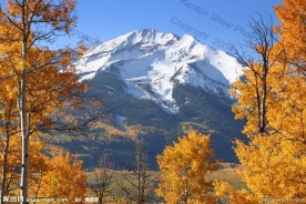阿尔卑斯山