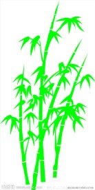 竹子 翠竹