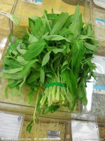 通心菜