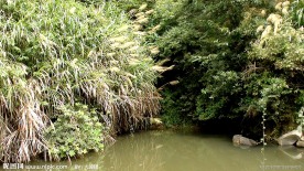 深山潭水