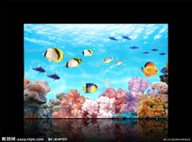 海底世界