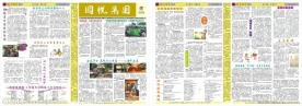 报纸模板