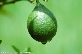 绿色柠檬
