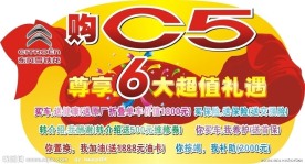 C5车顶牌