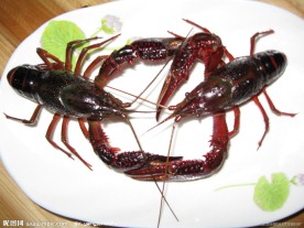 龙虾