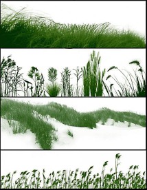小草笔刷