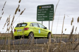 芦苇丛中的奔驰车