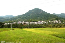 鄂东新农村