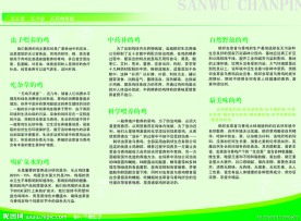 鸡蛋三折页反