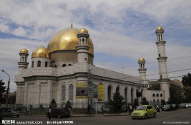 宏大建筑前的奔驰小轿车