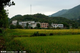 田园风光