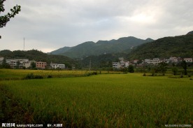 田园风光