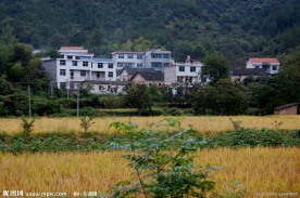 农村新居