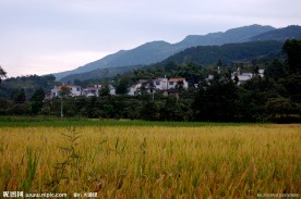 田园风光
