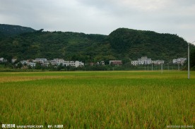 田园风光