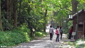 幽静小路