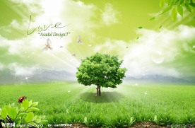 草地上的白鸽与大树