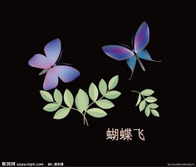 蝴蝶飞
