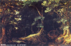 猎人歇息的森林风景