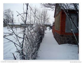 雪后柴扉