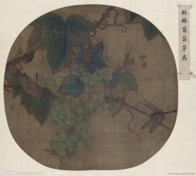 葡萄草虫图页