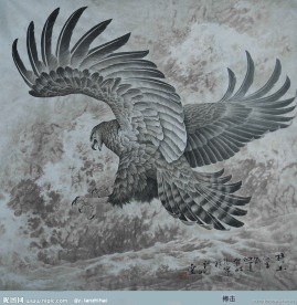 国画鹰