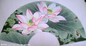 国画荷花