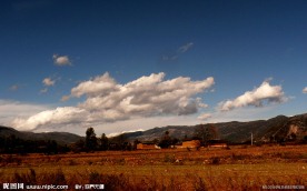 田野