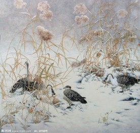皓野早雪