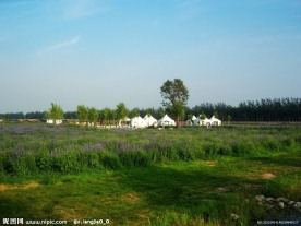 蓝调薰衣草庄园