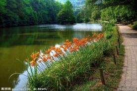 公园湖景