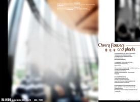 个性婚纱写真模板