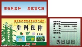 种子包装箱