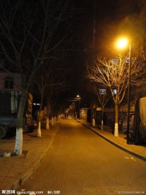 路灯下夜色