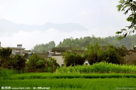 乡村风光