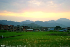 最美乡村