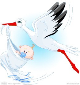 衔着婴儿宝宝飞翔的天鹅