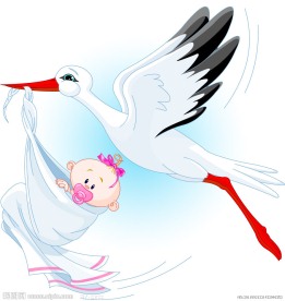 衔着婴儿宝宝飞翔的天鹅