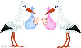 衔着婴儿宝宝的天鹅