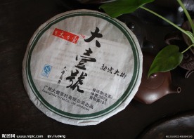 普洱茶生茶