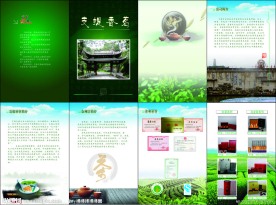 茶叶画册