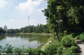 公园湖景