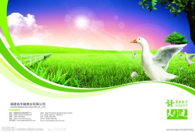 禽业样册封面