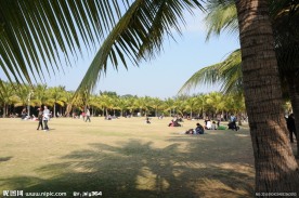 海滨公园