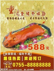 祭祖金猪 重阳节 金猪 重阳祭祖