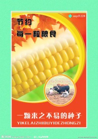节约粮食