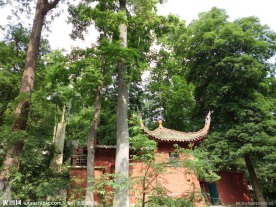 树林间的寺庙建筑