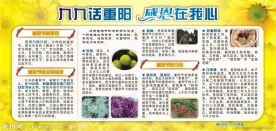 重阳节