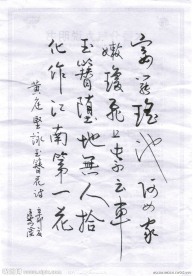 钢笔行书咏玉簮花诗