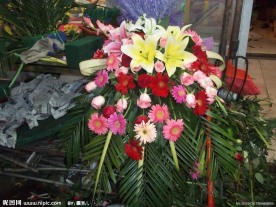 会议台花